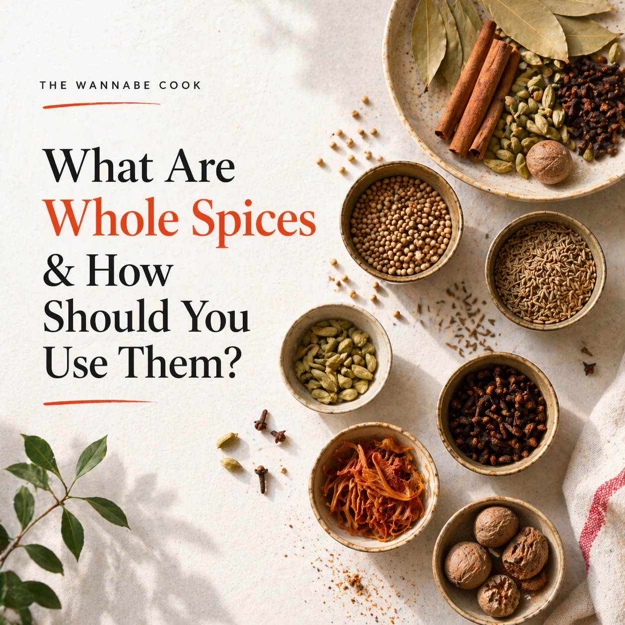 Whole spices arranged for a cooking guide