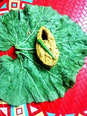 Hilsa Paturi
