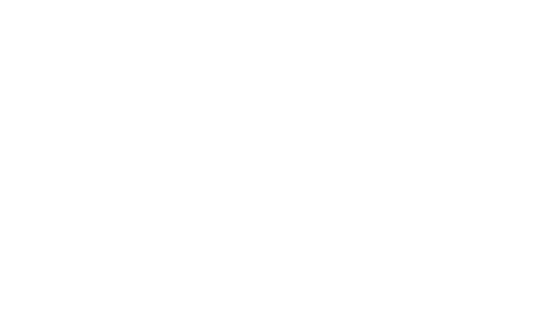 The Wannabe Cook