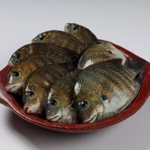 fresh raw kari meen pearl spot fish arranged earthenware 527904 1912