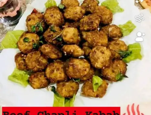 Beef Chapli Kabab by Moon Ahmed