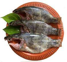meni fish