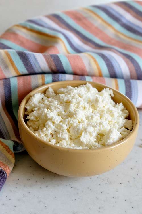 Milk Caseine or Chhena