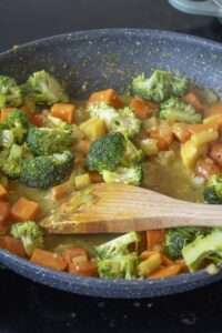 Ashleigh Vegetable Korma 7