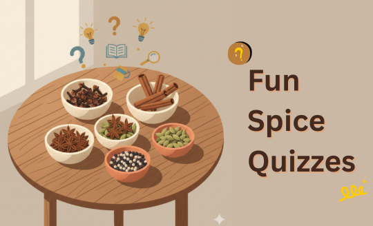 spice quiz banner